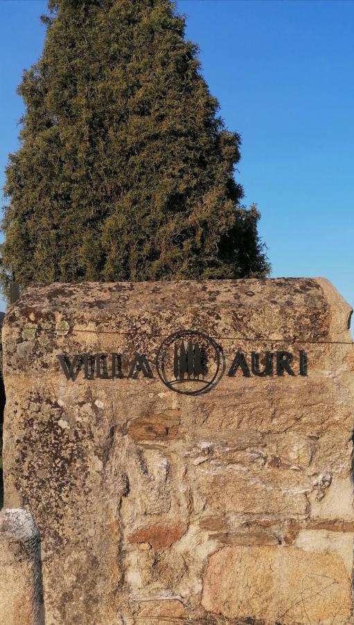 Villa Auri Віла-Нова-де-Фош-Коа Екстер'єр фото