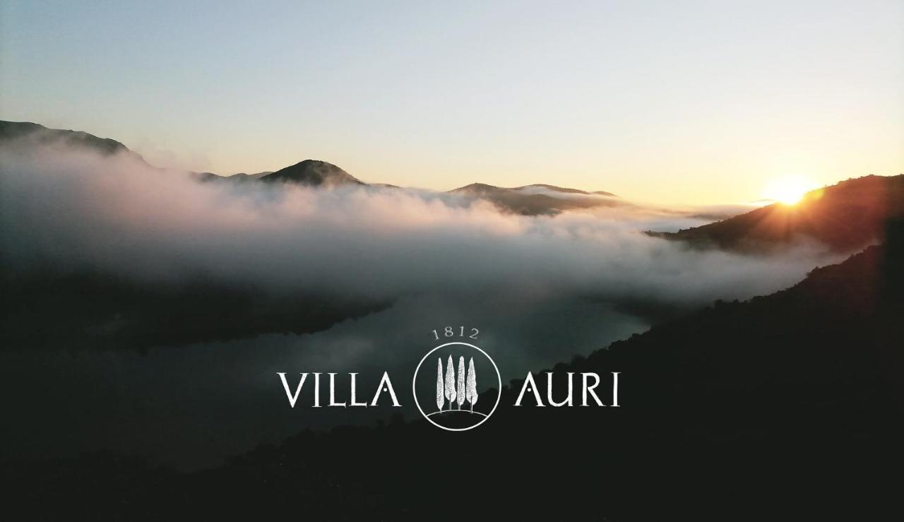 Villa Auri Віла-Нова-де-Фош-Коа Екстер'єр фото